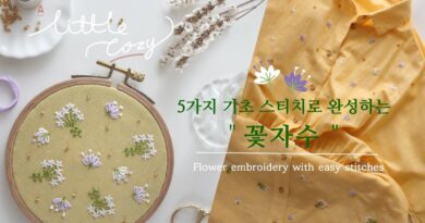 آموزش گلدوزی با الگو/ گلدوزی گل های صحرایی کوچک برای لباس همراه با ویدئو به زبان کره ای